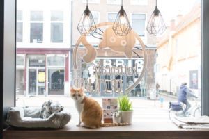 Fotograaf Groningen